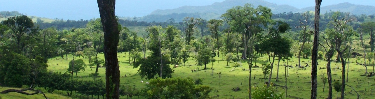 Ecología de Paisajes Fragmentados