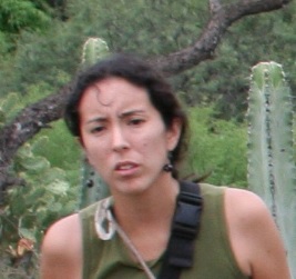 Fabi