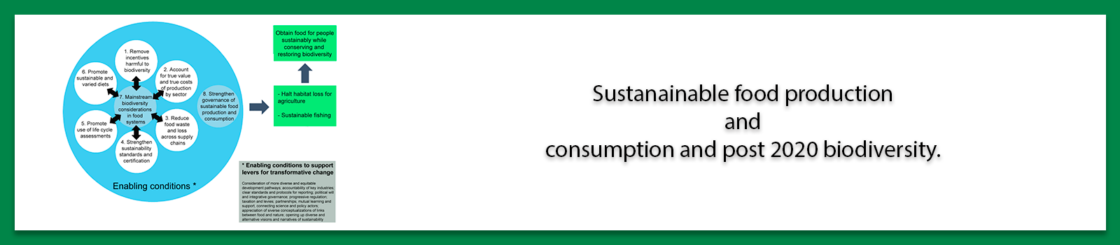 Sustanainable food production and consumption and post 2020 biodiversity.